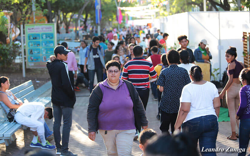 feria de becas
